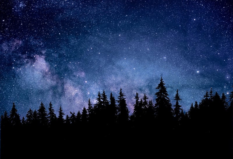 Constellation Backdrops